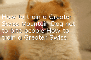 How to train a Greater Swiss Mountain Dog not to bite people How to train a Greater Swiss Mountain Dog not to bite people