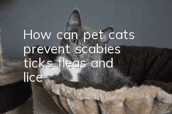 How can pet cats prevent scabies, ticks, fleas, and lice?