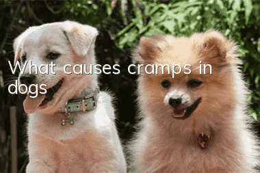 What causes cramps in dogs?