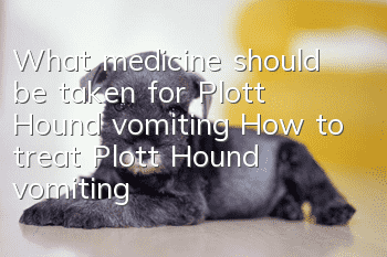 What medicine should be taken for Plott Hound vomiting? How to treat Plott Hound vomiting?