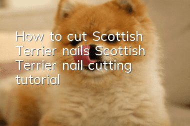 How to cut Scottish Terrier nails Scottish Terrier nail cutting tutorial