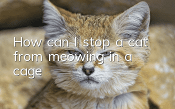 How can I stop a cat from meowing in a cage?