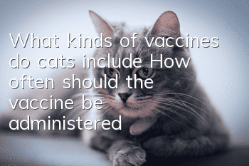 What kinds of vaccines do cats include? How often should the vaccine be administered?