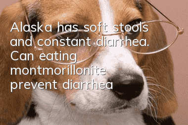 Alaska has soft stools and constant diarrhea. Can eating montmorillonite prevent diarrhea?