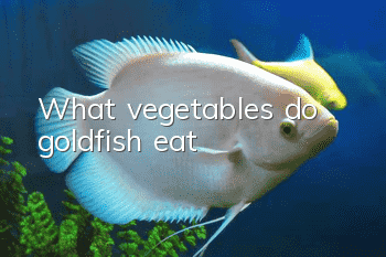 What vegetables do goldfish eat?