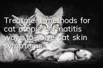 Treatment methods for cat atopic dermatitis, ways to solve cat skin symptoms!