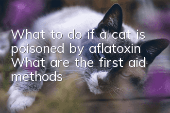 What to do if a cat is poisoned by aflatoxin? What are the first aid methods?