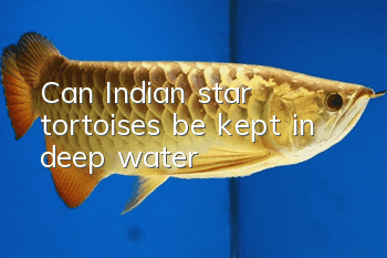 Can Indian star tortoises be kept in deep water?