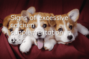 Signs of excessive calcium supplementation in dogs