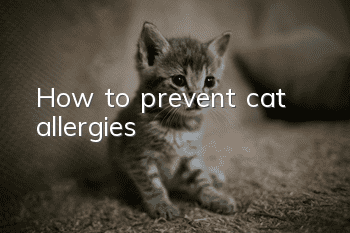 How to prevent cat allergies?