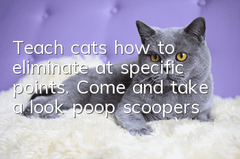 Teach cats how to eliminate at specific points. Come and take a look, poop scoopers!