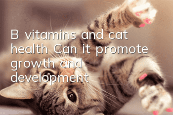 B vitamins and cat health? Can it promote growth and development?