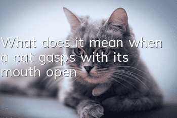 What does it mean when a cat gasps with its mouth open?