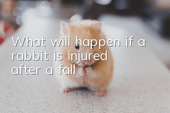 What will happen if a rabbit is injured after a fall?