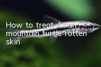 How to treat Asian mountain turtle rotten skin