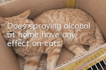 Does spraying alcohol at home have any effect on cats?