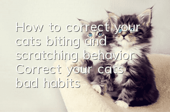 How to correct your cat’s biting and scratching behavior? Correct your cat’s bad habits!