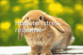 Hamster stress response