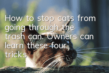 How to stop cats from going through the trash can. Owners can learn these four tricks