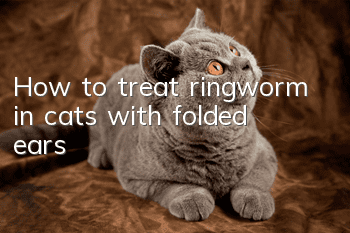 How to treat ringworm in cats with folded ears