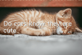 Do cats know they are cute?