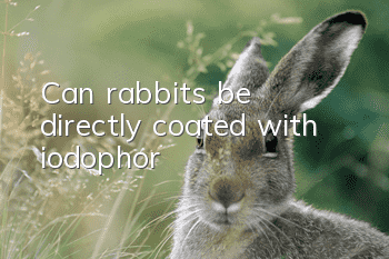 Can rabbits be directly coated with iodophor?