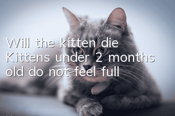 Will the kitten die? Kittens under 2 months old do not feel full