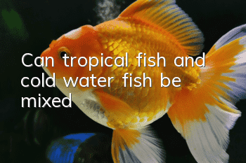 Can tropical fish and cold water fish be mixed?