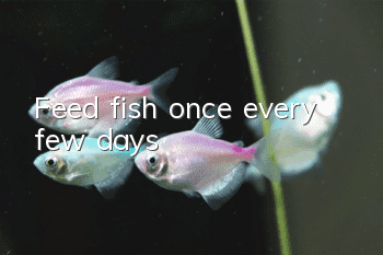 Feed fish once every few days