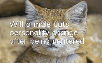 Will a male cat's personality change after being neutered?