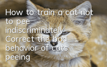 How to train a cat not to pee indiscriminately? Correct the bad behavior of cats peeing!