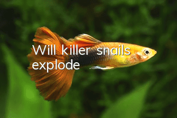 Will killer snails explode?