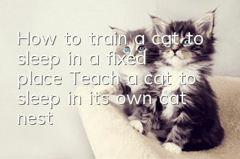 How to train a cat to sleep in a fixed place? Teach a cat to sleep in its own cat nest!