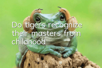 Do tigers recognize their masters from childhood?