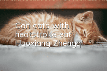 Can cats with heatstroke eat Huoxiang Zhengqi?