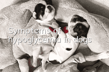 Symptoms of hypoglycemia in dogs