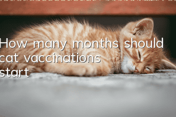 How many months should cat vaccinations start?