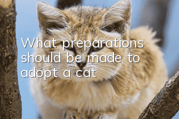 What preparations should be made to adopt a cat?