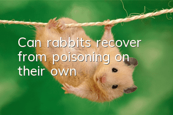 Can rabbits recover from poisoning on their own?