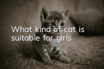 What kind of cat is suitable for girls?