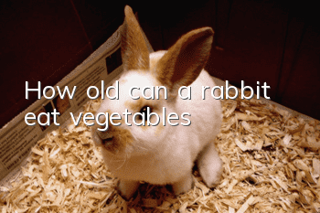 How old can a rabbit eat vegetables?