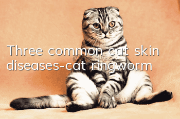 Three common cat skin diseases-cat ringworm