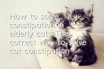 How to solve constipation in elderly cats? The correct way to solve cat constipation!