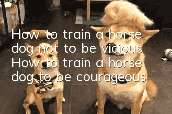 How to train a horse dog not to be vicious? How to train a horse dog to be courageous!