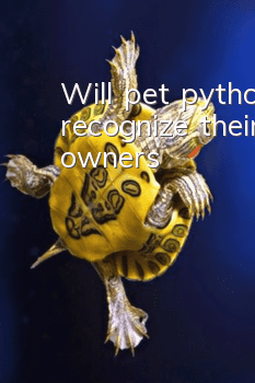 Will pet pythons recognize their owners?