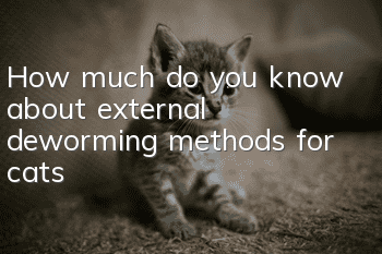 How much do you know about external deworming methods for cats?