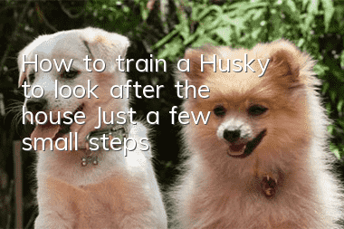 How to train a Husky to look after the house? Just a few small steps!