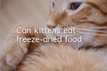 Can kittens eat freeze-dried food?