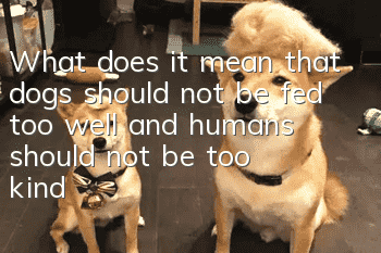 What does it mean that dogs should not be fed too well and humans should not be too kind?