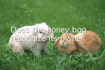 Does the honey bag recognize its owner?